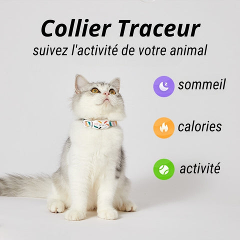 collier traceur chat