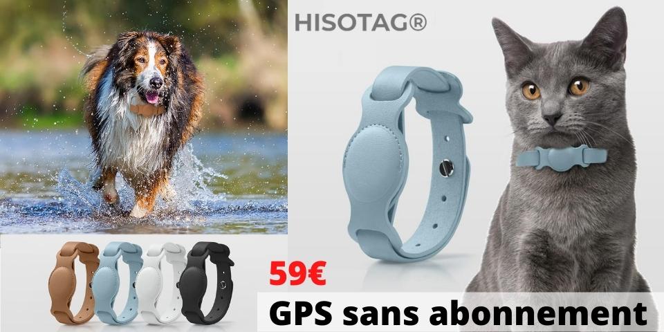 buy cat gps collar