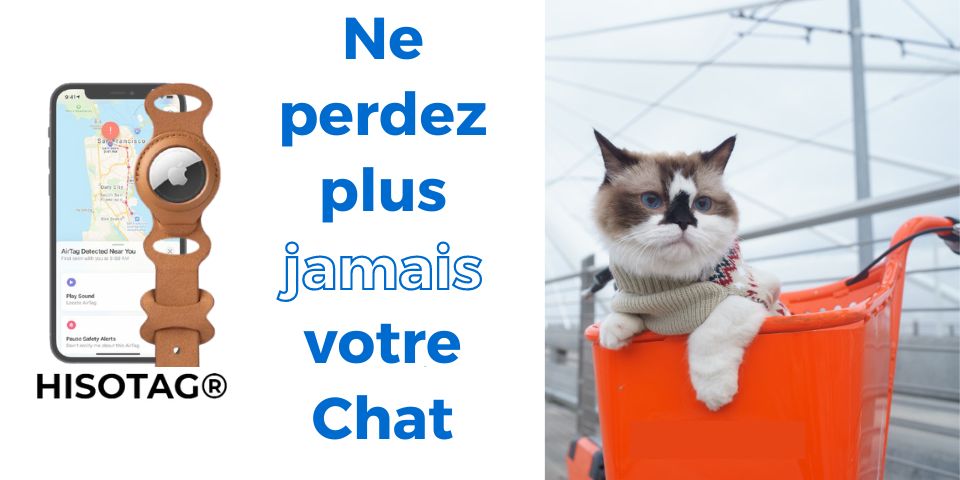 colliers airtag pour chat
