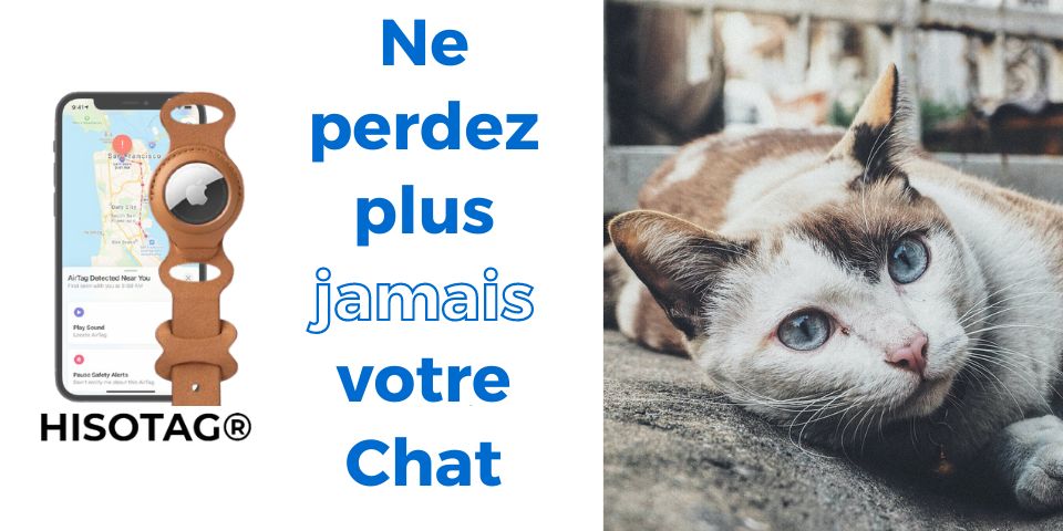 Toujours retrouver son chat grâce au traceur GPS pour chat