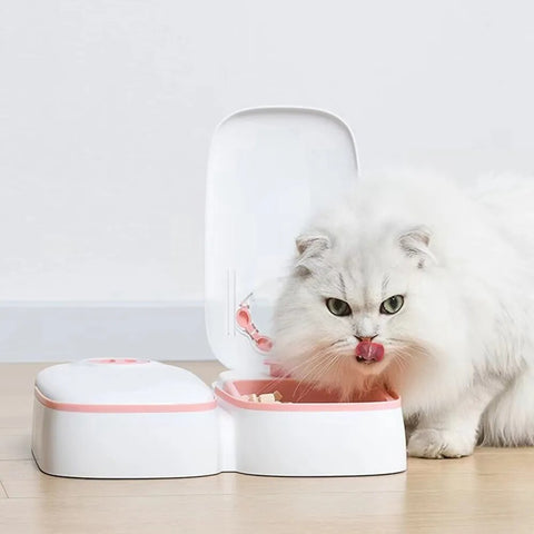 distributeur croquettes chat