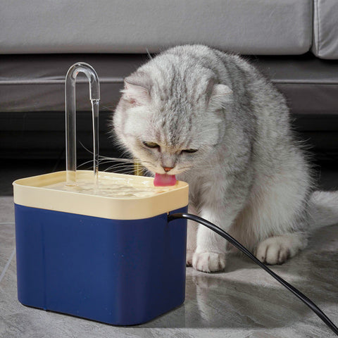 fontaine a eau chat bleu