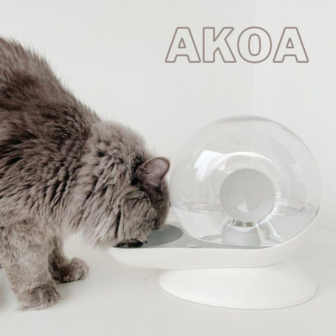 Fontaine à Eau pour Chat Electrique - AKOA – HisoPet™