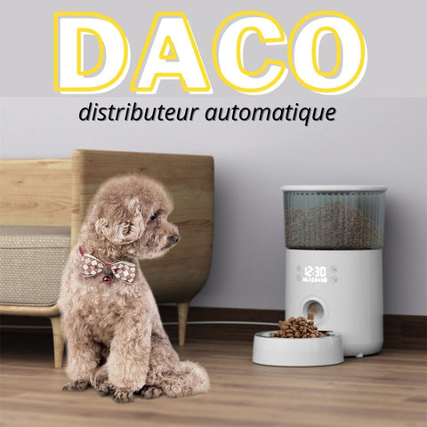 distributeur croquettes automatique pour chien