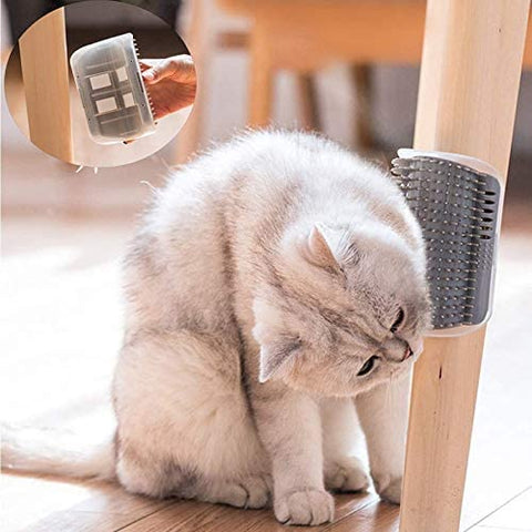 chat brosse chaise