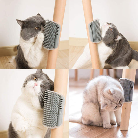 brosse chat fixation