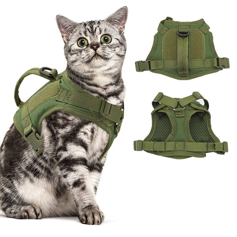 harnais militaire vert pour chat