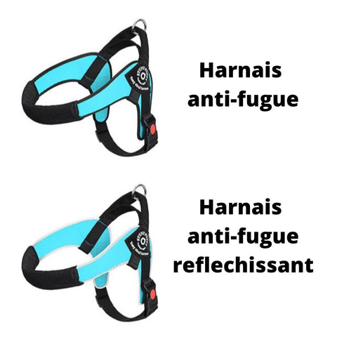 modèles harnais chien anti fugue réfléchissant