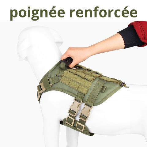 Harnais pour Chien Militaire