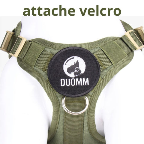 harnais militaire chien avec badge velcro