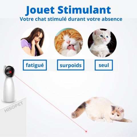Cat Laser Toy Automatique, Pointeur Laser Interactif Jouet pour Chat Pour  Chats d'Intérieur
