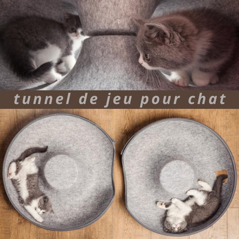 tunnel pour chat en rond