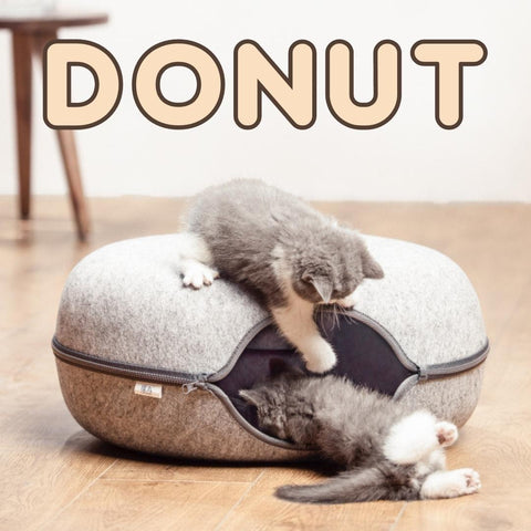 grotte chat donut