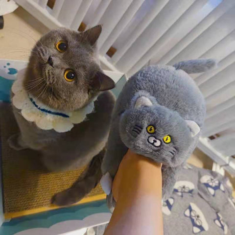 chaussons chat gris