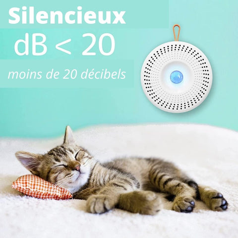 purificateur d'air chat silencieux