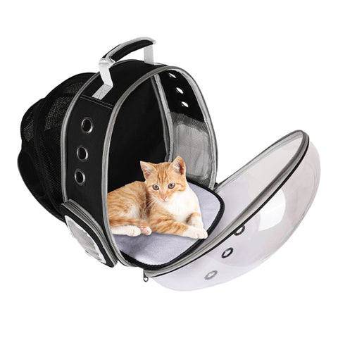 sac bulle pour chat