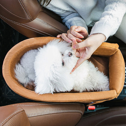 Siège de voyage pour animaux de compagnie, siège de voyage pour chat avec  tissu Oxford imperméable, siège de voiture pour chien, mini siège de