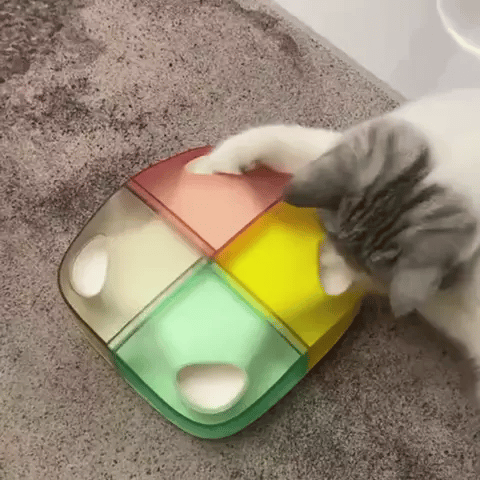 boite magique plumes jouet pour chat