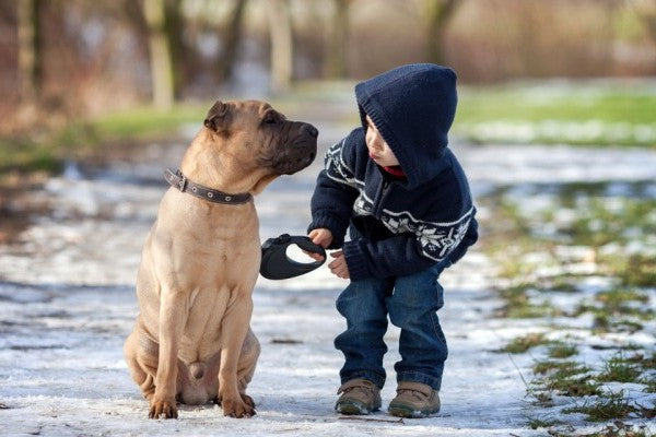 dogs with children