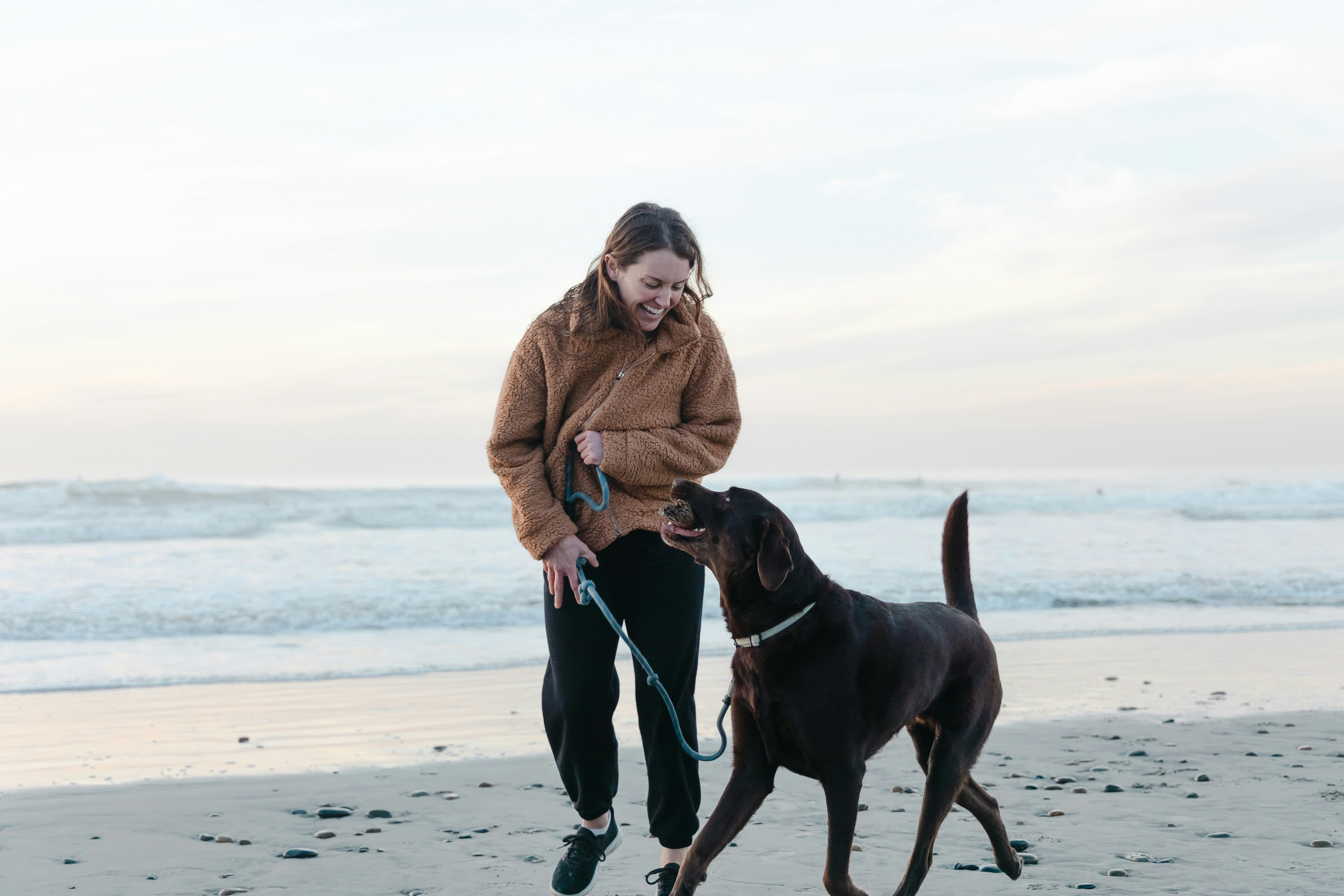 Training Labrador Retrievers 