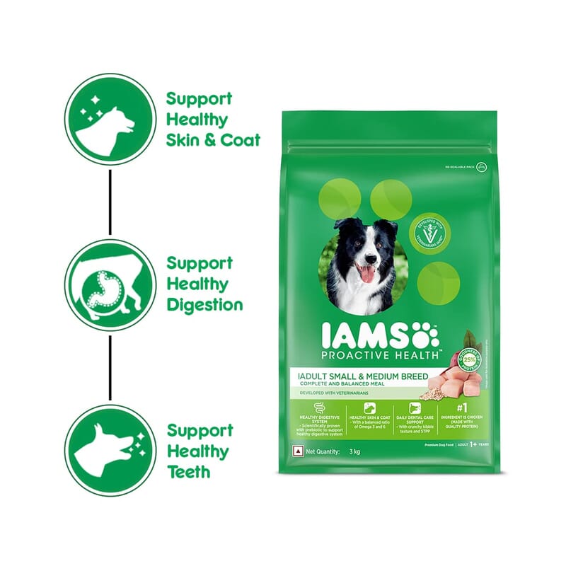 iams medium puppy food