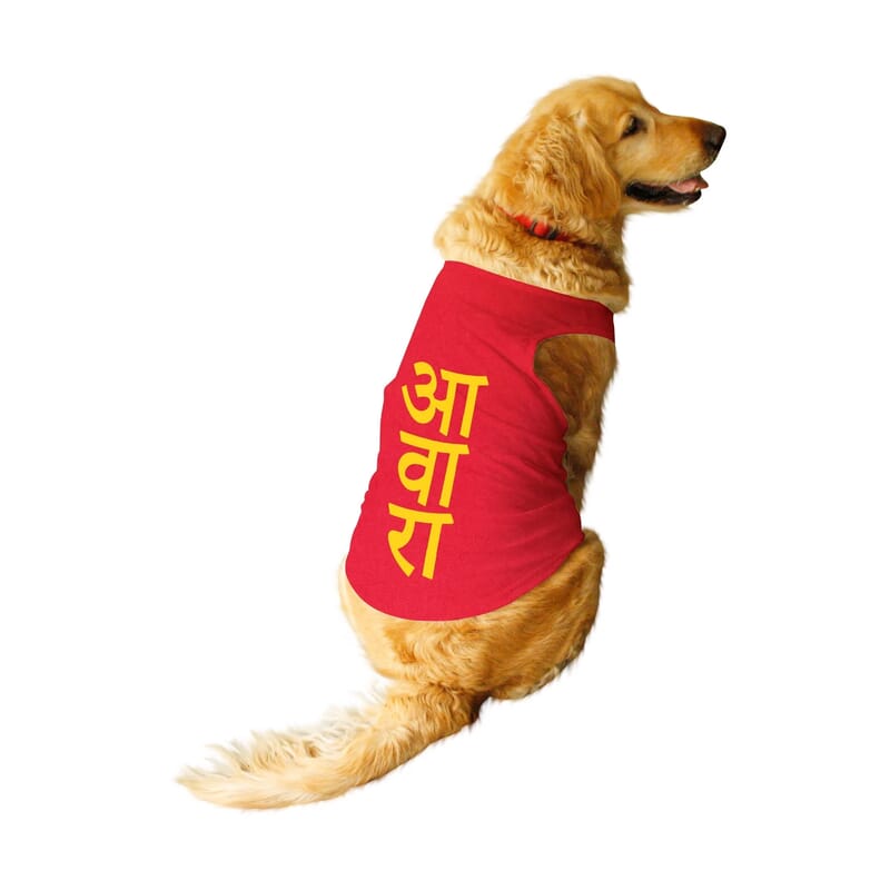 Ruse "Awara" Dog Tee - Wagr - The Smart Petcare Platform