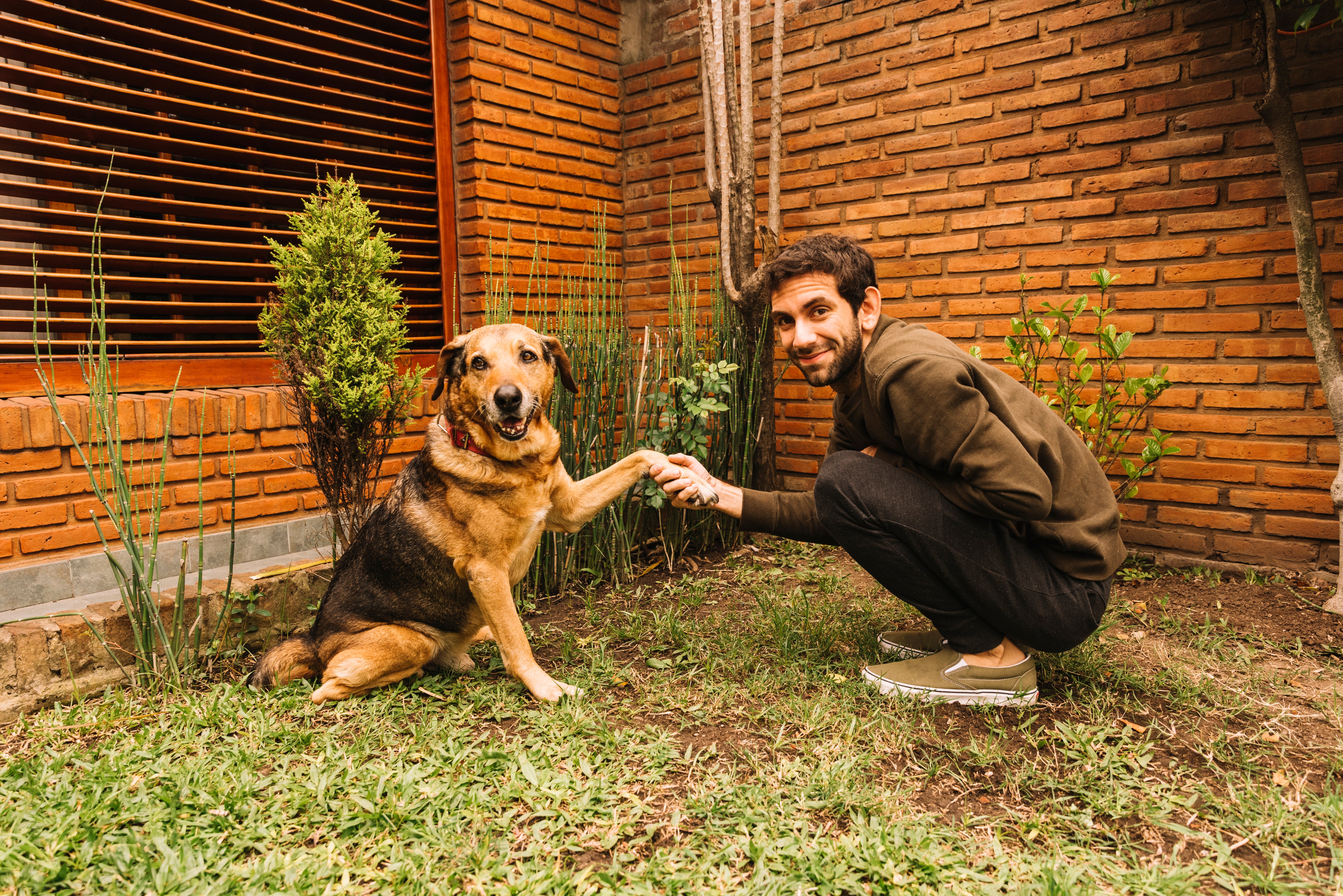 Dog posing in a garden with a human