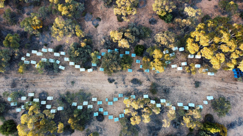 Aerial view of desert apiary