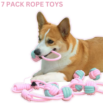 Indestructible Dog Toys: Our 7 Favorite Tough Dog Toys - Puppy Leaks