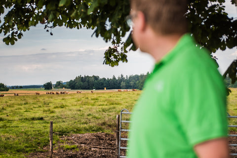 Andreas mit Blick auf Weide und Rinder