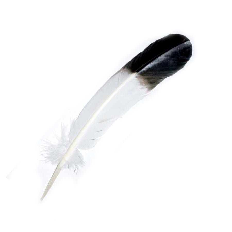 Pink Turkey Feather Quill Pen – Objets d'Art & Spirit