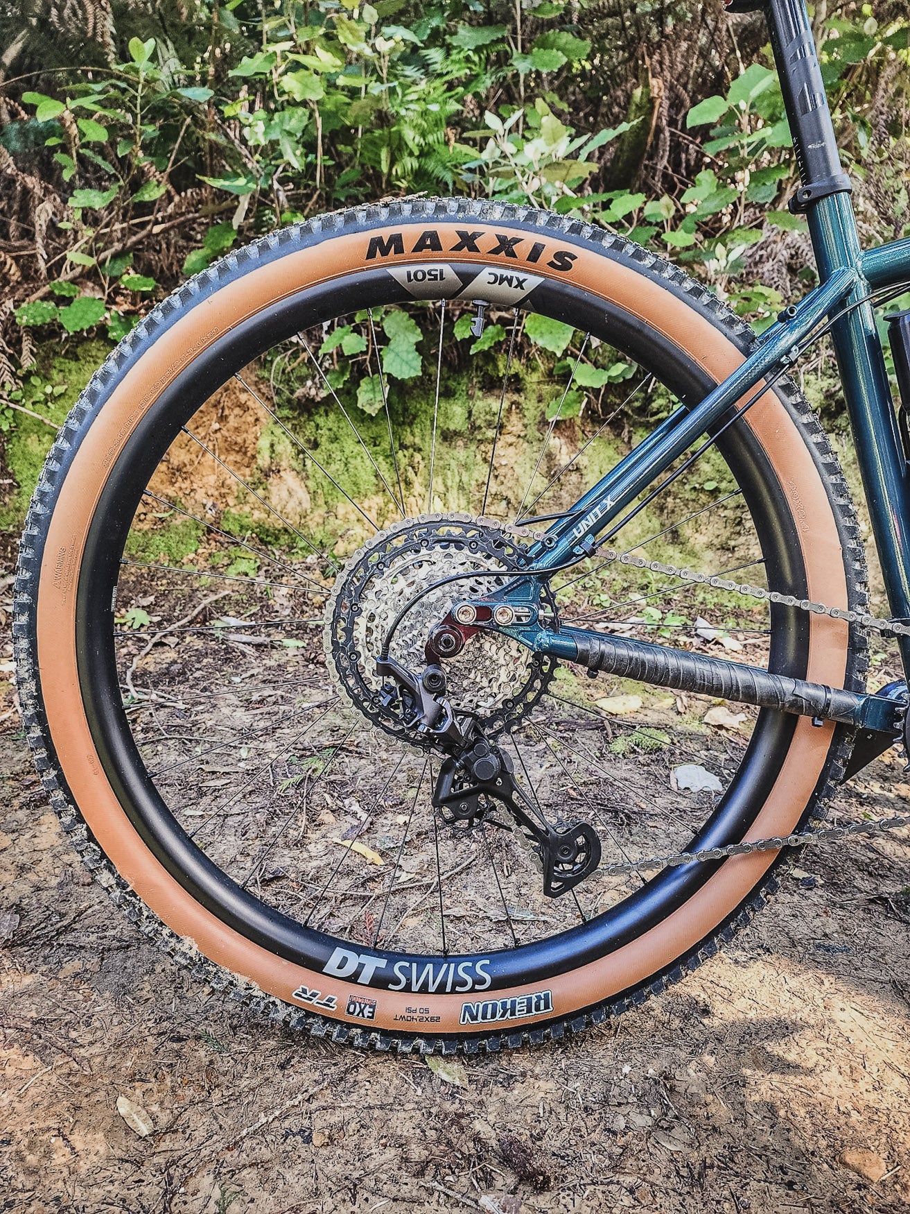 DT Swiss rim with a Maxxis tire