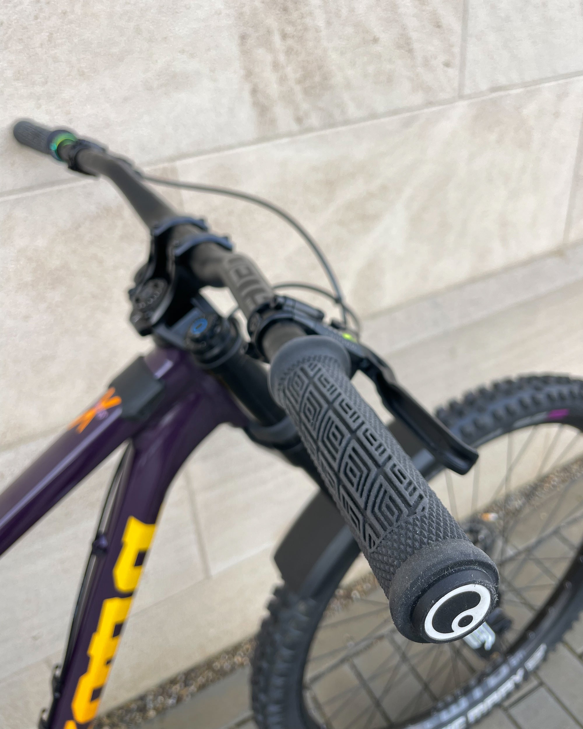 Kona Process X DH Details