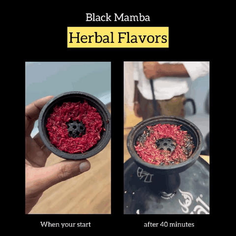 black mamba herbal hookah flavors
