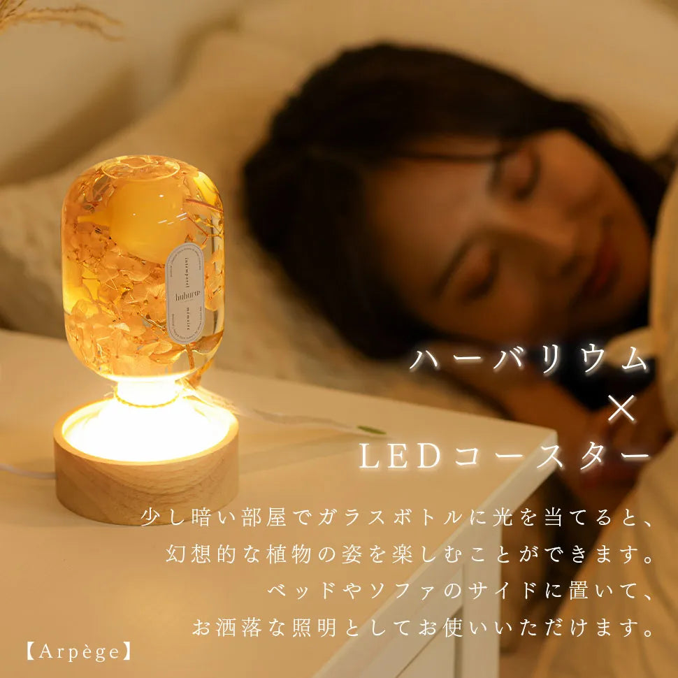 ハーバリウム プラントオブジェ フラワー インテリアフラワー ガラス瓶 プリザーブドフラワー ドライフラワー LED コースターライト 照明 プレゼント 誕生日 結婚 ギフト 韓国インテリア  HHR-001 セルタン公式