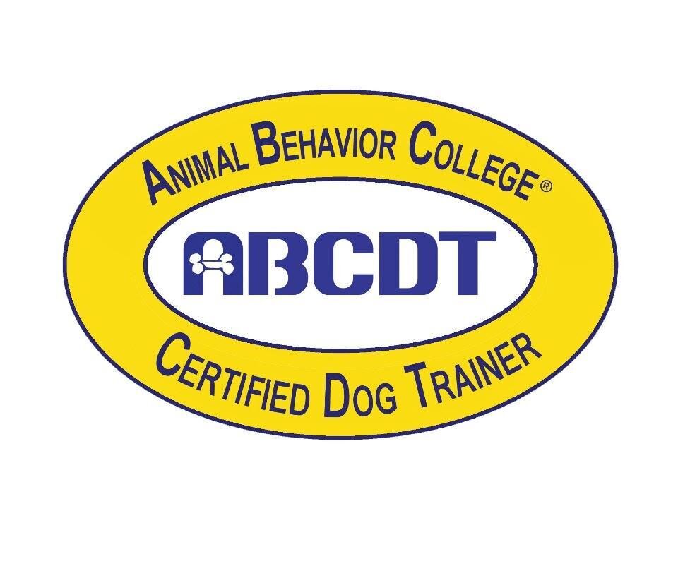Animal Behaviour College Dog Trainer