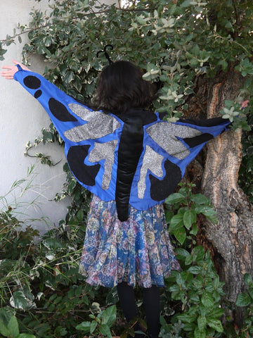 Costume de papillon