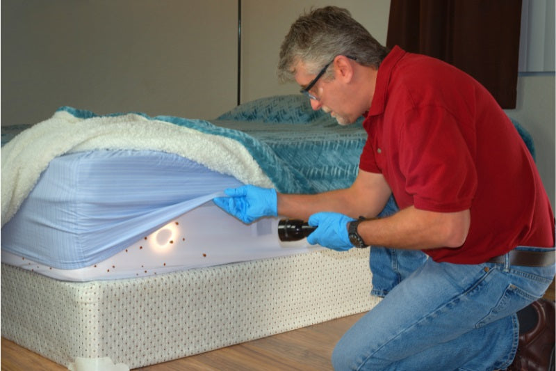 Foam mattress protection
