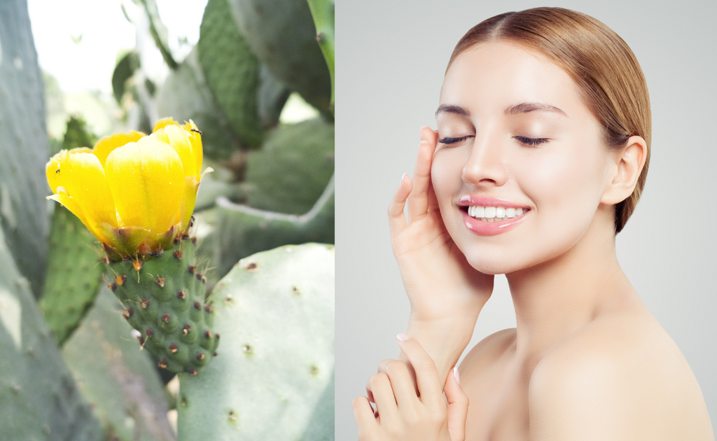 Prickly Pear Seed Oil has an extraordinary brightening effect