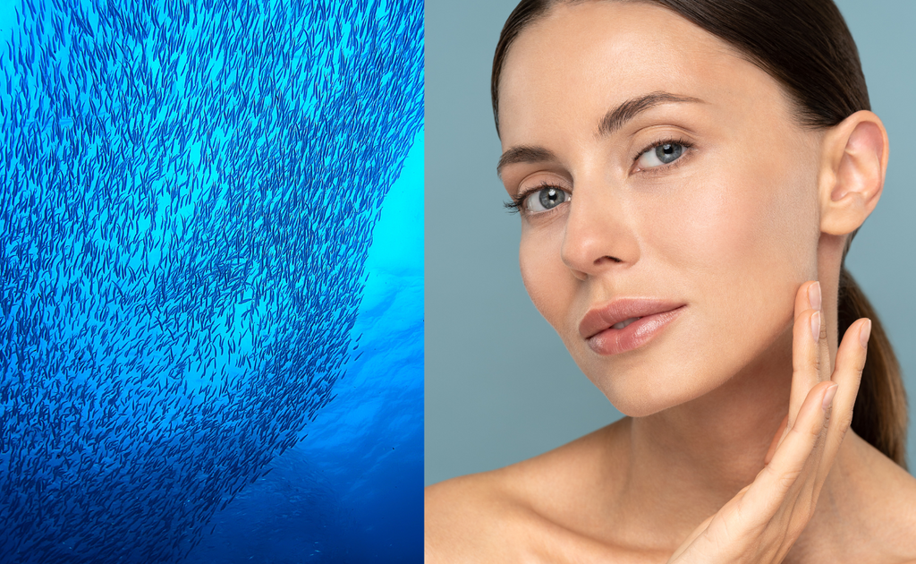 Marine Collagen benefits for Skin