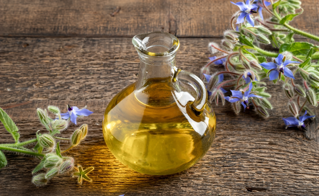 borage is a botanical oils, plant oils