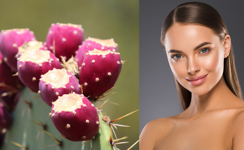 The beauty benefits of prickly pear seed oil