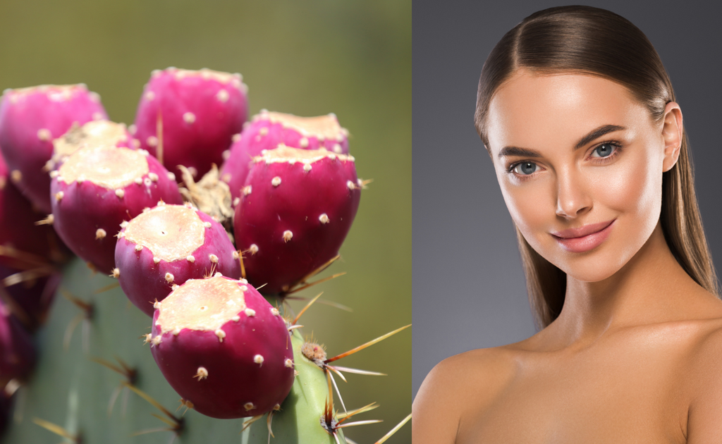 Skin Benefits of Prickly Pear Seed Oil