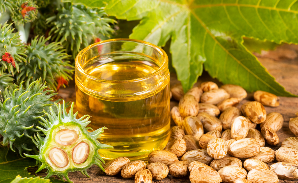 nutrients of castor oil for skin and hair