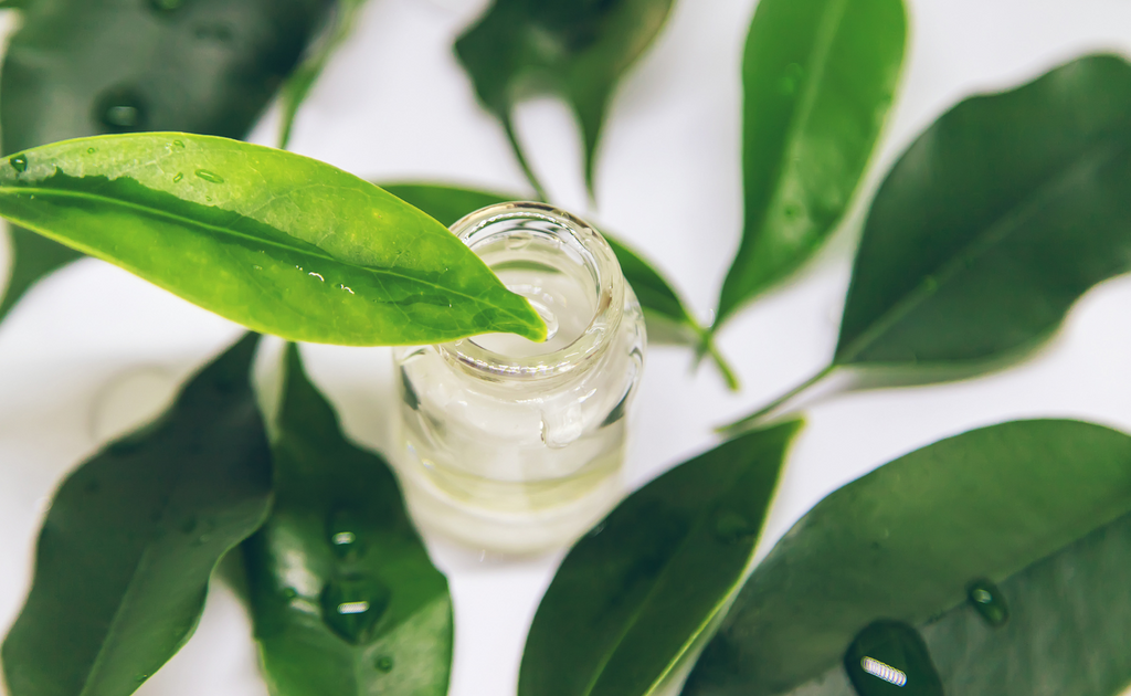 tea tree oil for acne