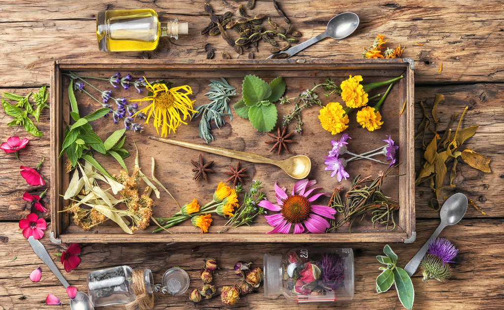 Herbal Remedies for Rosacea