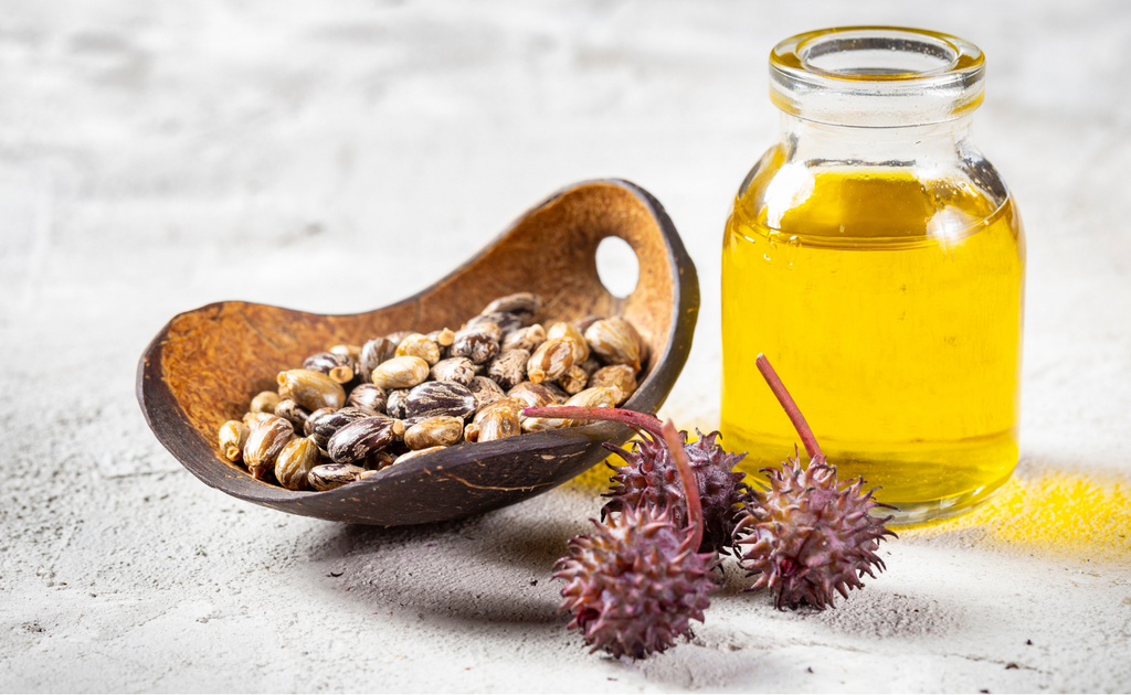 Castor Oil Combats Dandruff and Scalp Infections