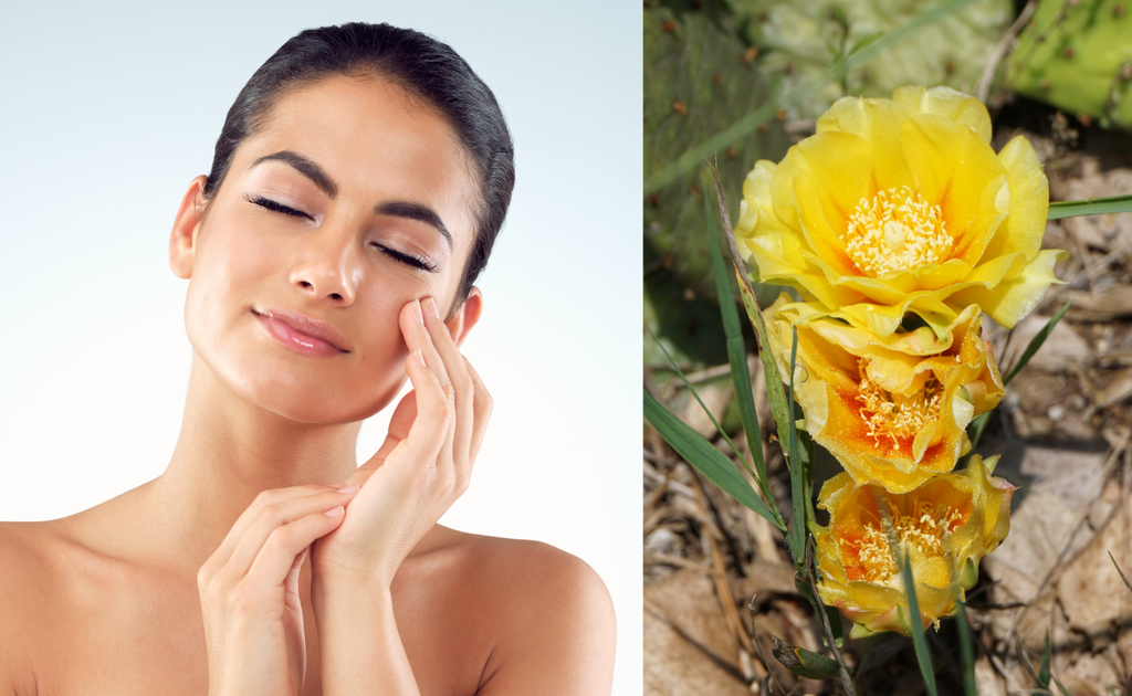 You can find prickly pear oil in many skincare products such as beauty oil and face oils.