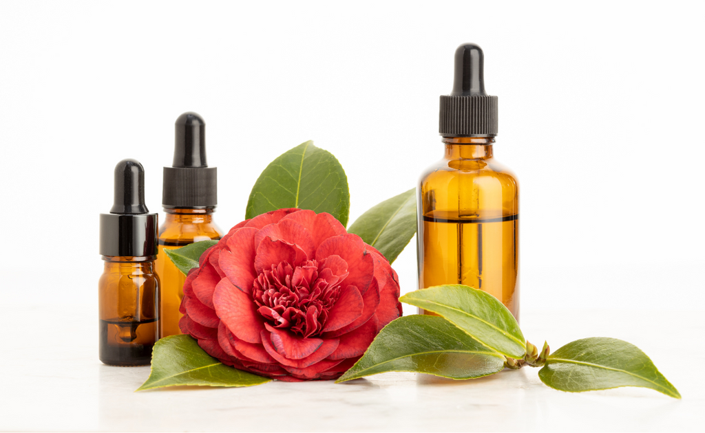 camelia seed oil skin benefits