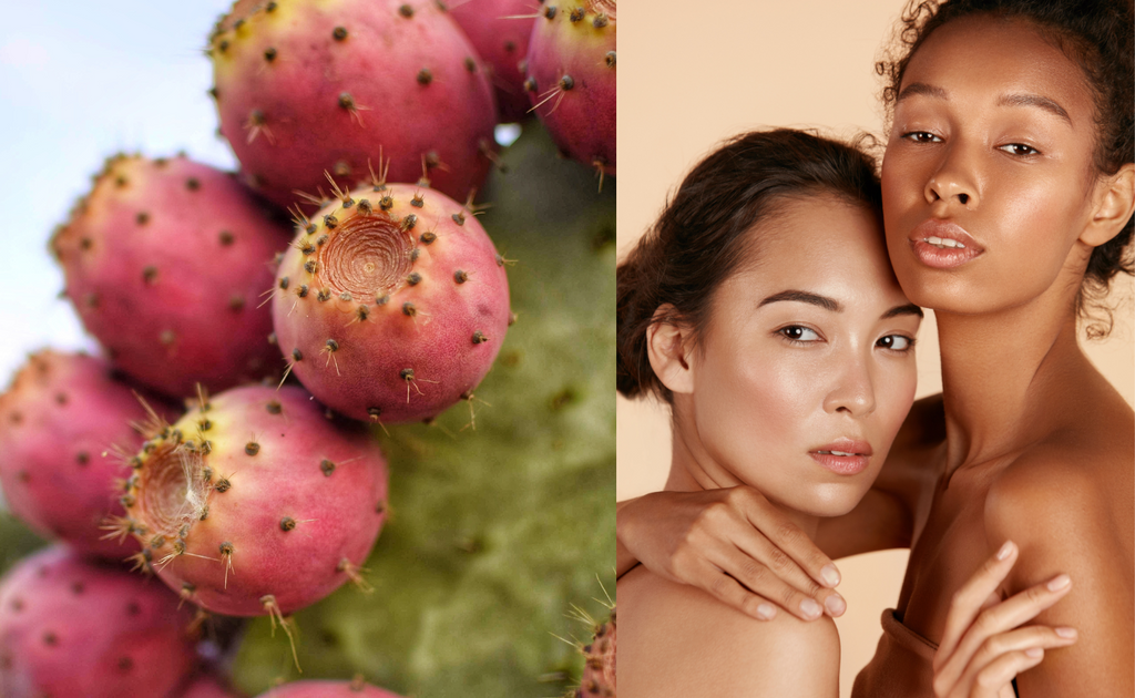 Prickly pear oil benefits for all skin types